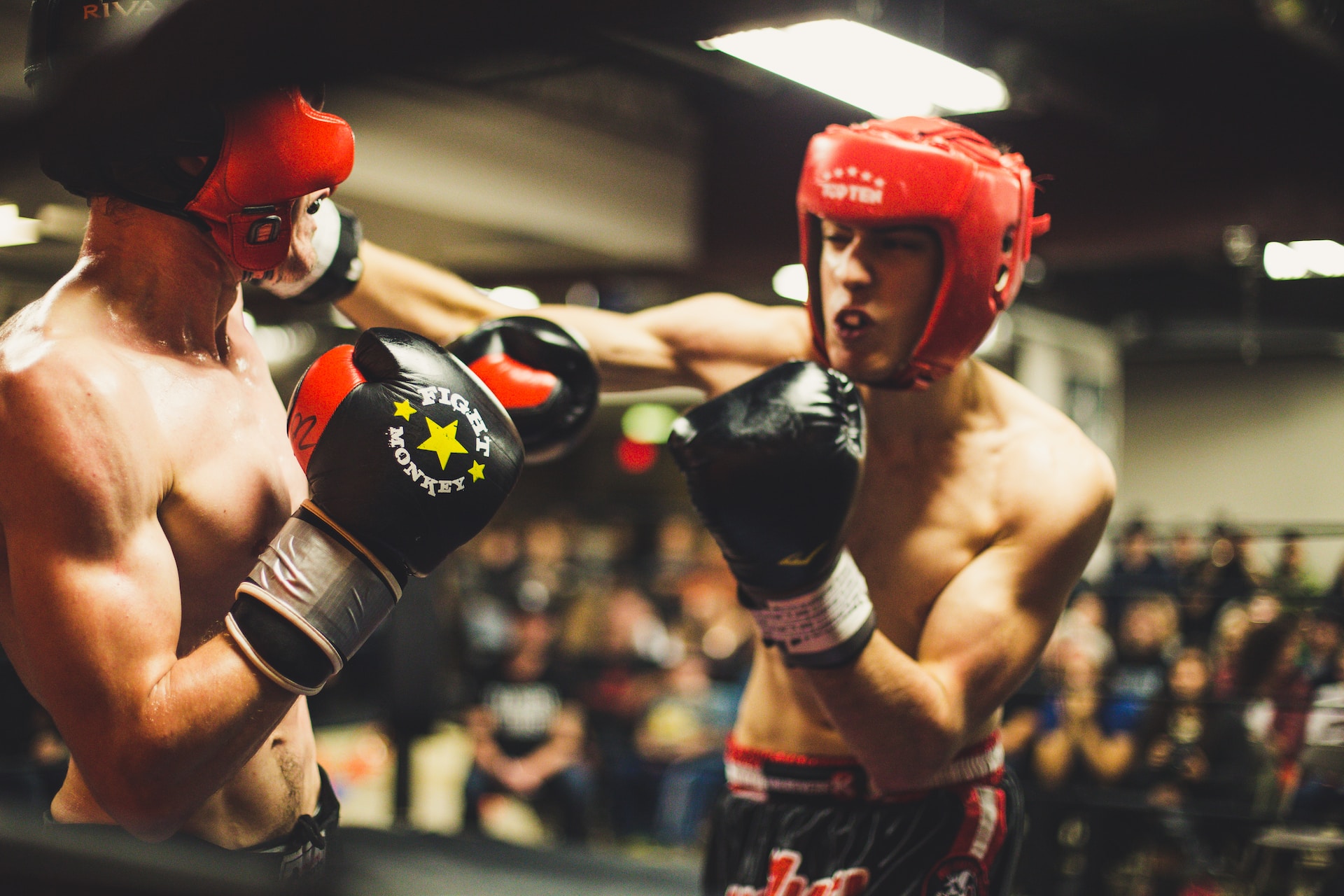 boxingmojo