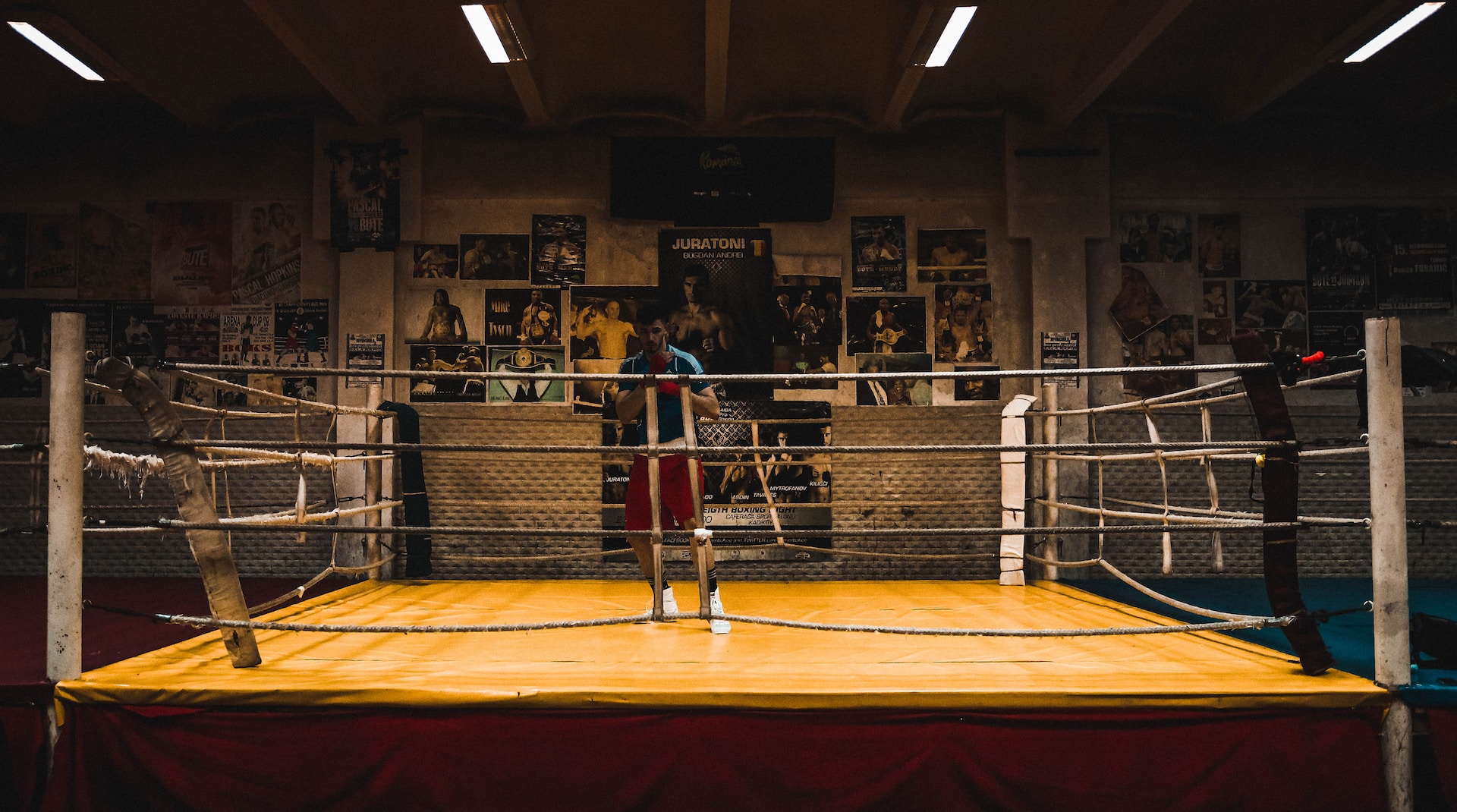 train like a pro boxer
